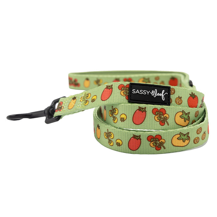 The Sassy Woof Dog Three Piece Bundle - Feeling Vine features a green leash with a black metal clasp, colorful tomato designs, and a Sassy Woof label—ideal for fans of plant-themed dog accessories.