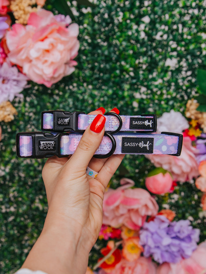 A hand with red nail polish holds two Sassy Woof Dog Three Piece Bundle - Fleur de Sass collars in purple and pink, set against green leaves and colorful flowers.