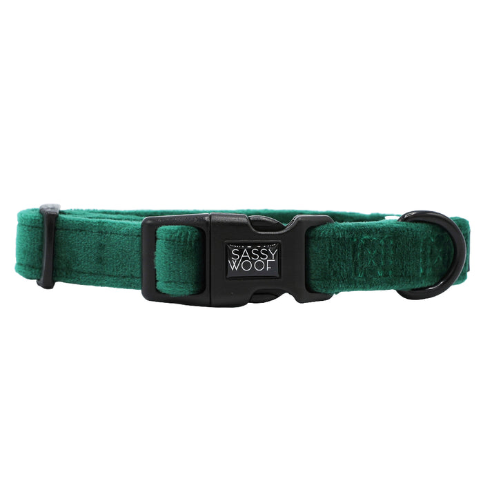 This Sassy Woof Dog Three Piece Bundle - Nice features a green fabric collar with a black plastic buckle and metal D-ring—ideal for matching with your favorite velvet dog accessories.