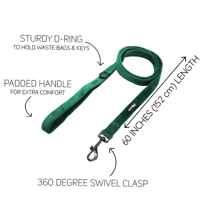 Sassy Woof Dog Three Piece Bundle - Nice: Green 60-inch dog leash with padded handle, sturdy D-ring for waste bags or keys, and 360° swivel clasp. Labels highlight features. Perfect match for velvet dog accessories.