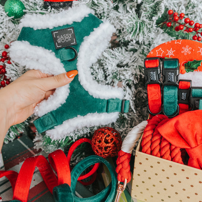 A hand holds the Sassy Woof Dog Three Piece Bundle - Nice, a green and white sherpa harness, in front of a decorated Christmas tree with festive velvet dog accessories, holiday harnesses, collars, leashes, toys, and ribbons.