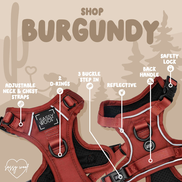 The Sassy Woof Dog Two Piece Bundle in Burgundy features adjustable neck and chest straps, 2 D-rings, a 3-buckle step-in design, reflective trim, back handle, and safety lock. Cactus and tree silhouettes appear in the background.