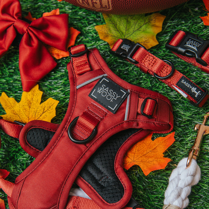 The Sassy Woof Dog Two Piece Bundle - Burgundy, featuring a harness and leash, is displayed on grass with autumn leaves, a red bow, a white rope toy, and part of a football in the background.