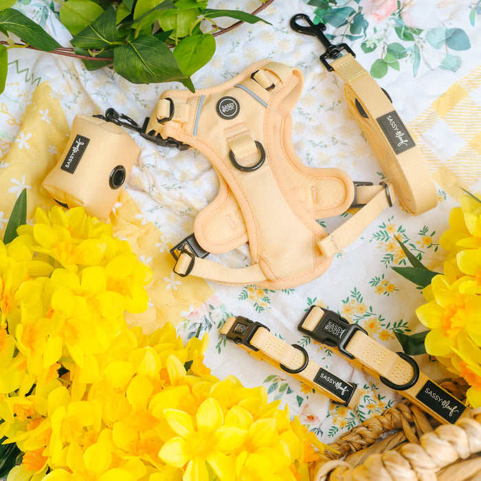 The Sassy Woof Dog Two Piece Bundle - Daffodil is displayed on a floral blanket amid bright yellow flowers and greenery.