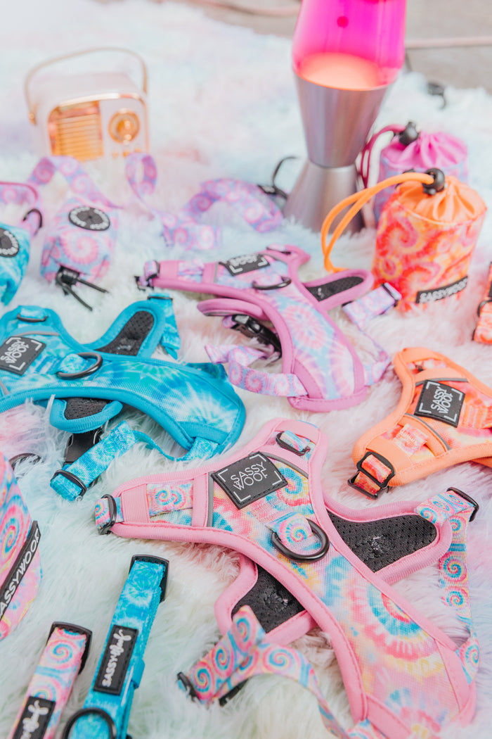 The Sassy Woof Dog Two Piece Bundle - Good Vibes, featuring a step-in harness and multicolor tie-dye leash, is displayed on a fuzzy white rug with a lava lamp, retro radio, and drawstring bag for a playful retro vibe.