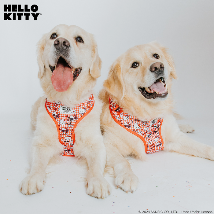 Two golden retrievers in Sassy Woof's Dog Two Piece Bundle - Hello Kitty® Red Classic harnesses sit side by side, tongues out and happy. The Hello Kitty logo is in the top left corner of the image.