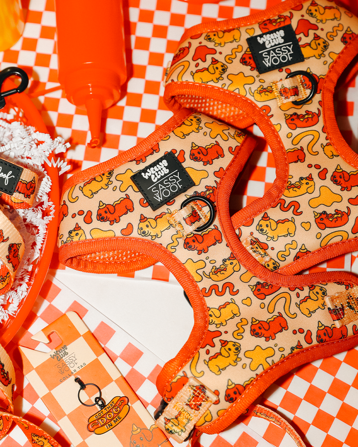 Two orange Sassy Woof Dog Two Piece Bundle - Hot Dawg harnesses with playful patterns rest on a checkered orange-and-white surface, surrounded by matching tags, shredded paper, and an orange squeeze bottle—perfect with your favorite hot dog leash.