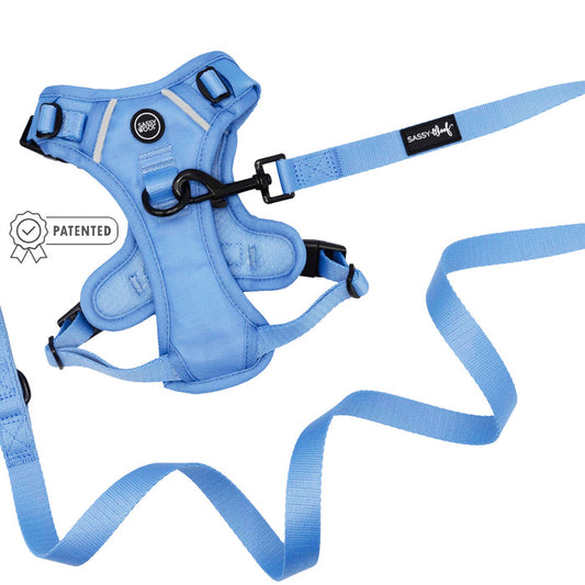 The Sassy Woof Dog Two Piece Bundle - Hydrangea features a light blue pastel harness with black buckles and a matching floral leash labeled "SASSY WOOF." Both items are displayed flat on a white background, with the patented badge on the harness.