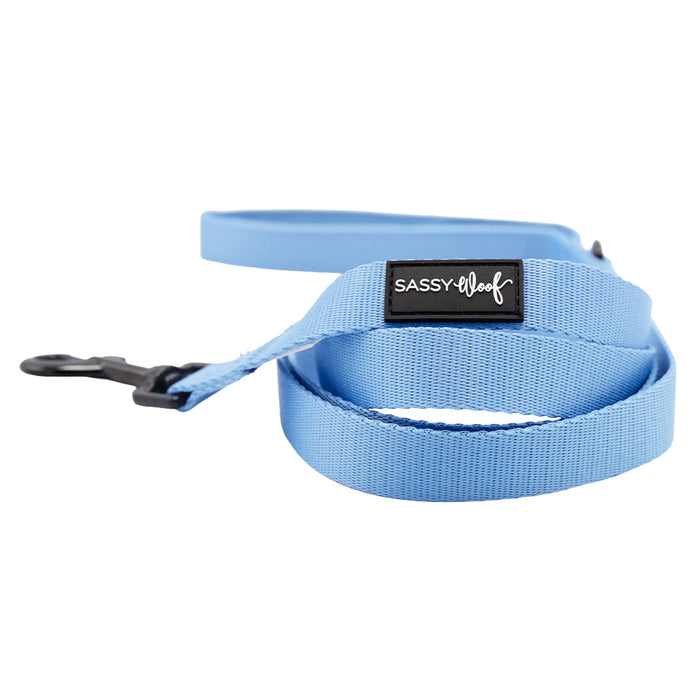 The Sassy Woof Dog Two Piece Bundle - Hydrangea features a light blue floral leash with a black metal clip and a “Sassy Woof” label, coiled on a white background—perfect to match your favorite pastel harness.