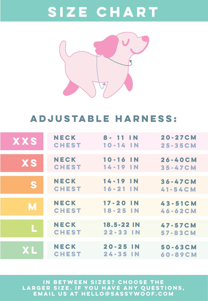 The size chart for the Sassy Woof Dog Two Piece Bundle - Peanuts™ Road Tripping shows a pink dog image, neck and chest sizes (inches/cm) for XXS–XL on a pastel background, plus contact info at the bottom.