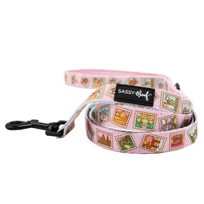 The Sassy Woof Dog Two Piece Bundle - Out of Office pairs a stylish pink leash with fun graphics and a matching harness—perfect for fashionable walks.