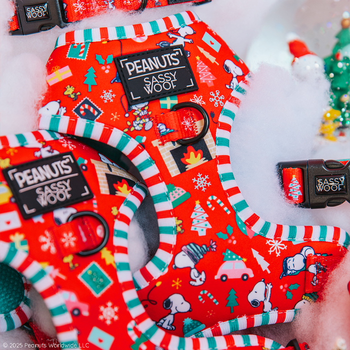 The Sassy Woof Dog Two Piece Bundle – Peanuts™ Beagle Bells features bright red harnesses with festive designs, striped trim, “Sassy Woof” and “Peanuts” labels, and pairs perfectly with the matching Peanuts dog leash.