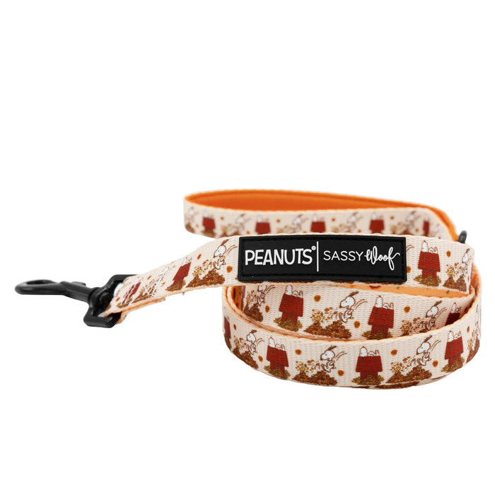 The Sassy Woof Dog Two Piece Bundle - Peanuts™ Harvest features a dog leash and matching harness with Snoopy and Woodstock prints in orange and cream, black clasp, and Peanuts label for a stylish coordinated look.
