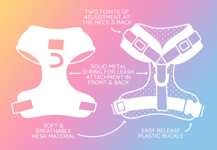 Diagram of the Sassy Woof Harness Three Piece Bundle - MLB™ x Peanuts™ Chicago White Sox™: soft, breathable mesh, neck/back adjustments, front/back metal D-rings, easy-release buckle—ideal for growing puppies.