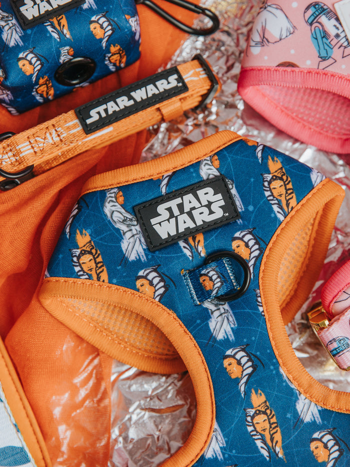 The Dog Two Piece Bundle - STAR WARS™ Ahsoka by Sassy Woof, featuring blue and orange Ahsoka Tano designs, is displayed with matching collars, pink accessories, and an adjustable leash on a shiny, crinkled surface.