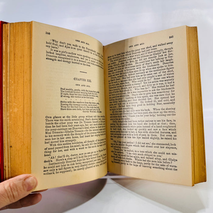 Donovan: A Modern Englishman – A Novel of Love, Art, and Social Boundaries (1899) by Edna Lyall