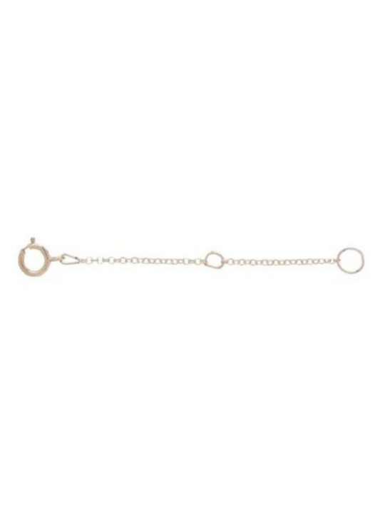 enewton Designs 2" Necklace Extender - Gold