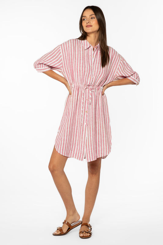 Jenneva Pink Stripe Dress - Dresses - Velvet Heart Clothing