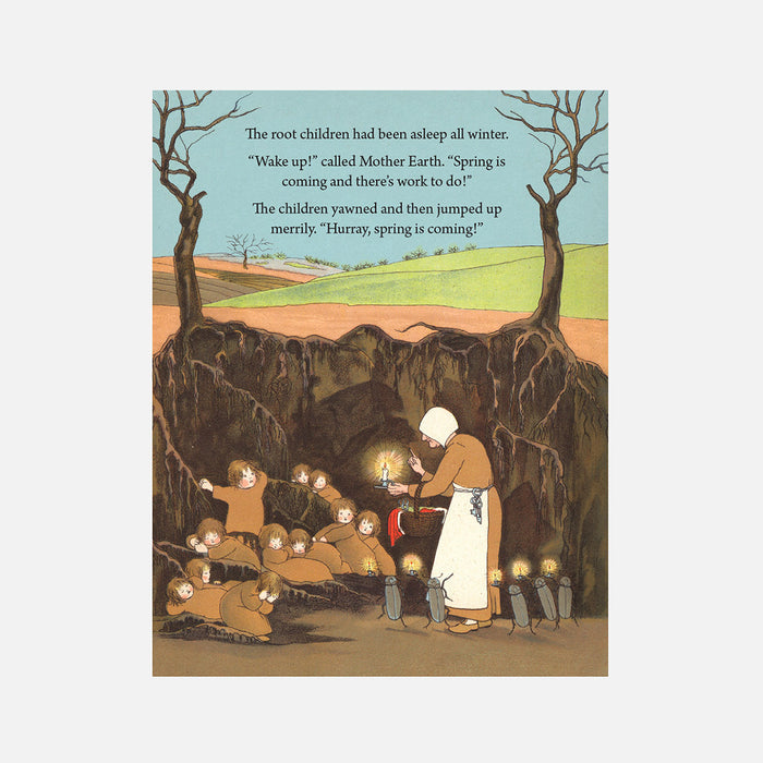 My First Root Children Board Book