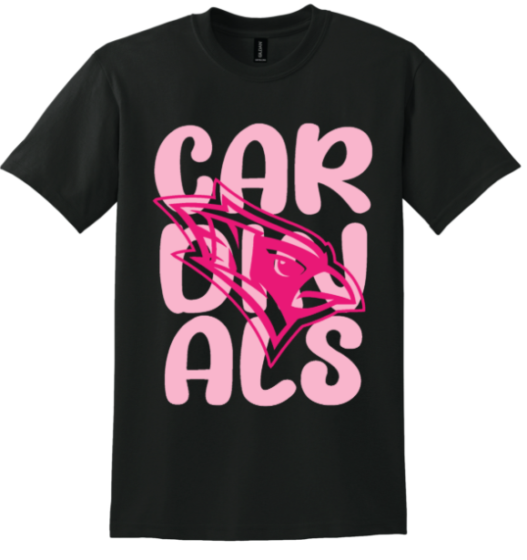 Nelson County Cardinals Bird Tee