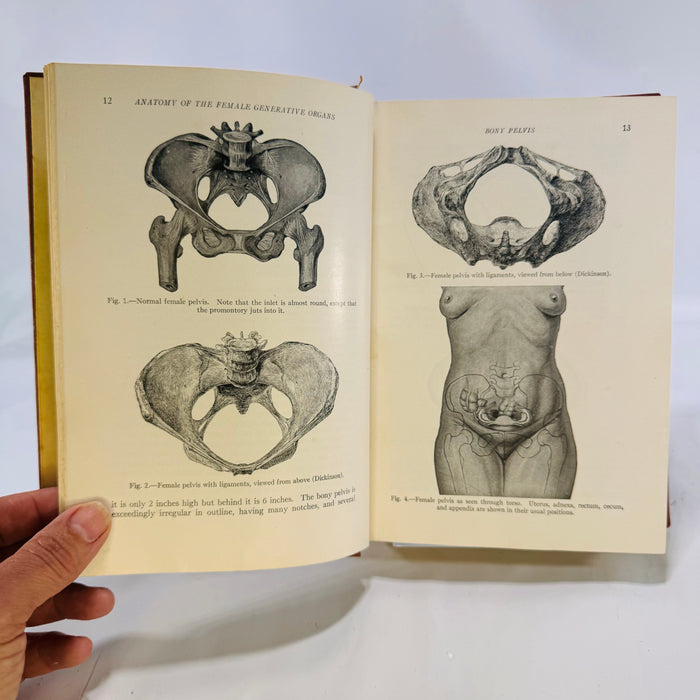 Obstetrics For Nurses by  Joseph DeLee 1941 W.B. Saunders Hardcover