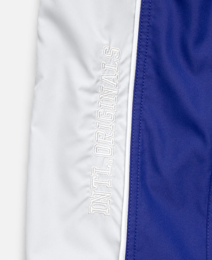 Paneled Track Pants (Blue)