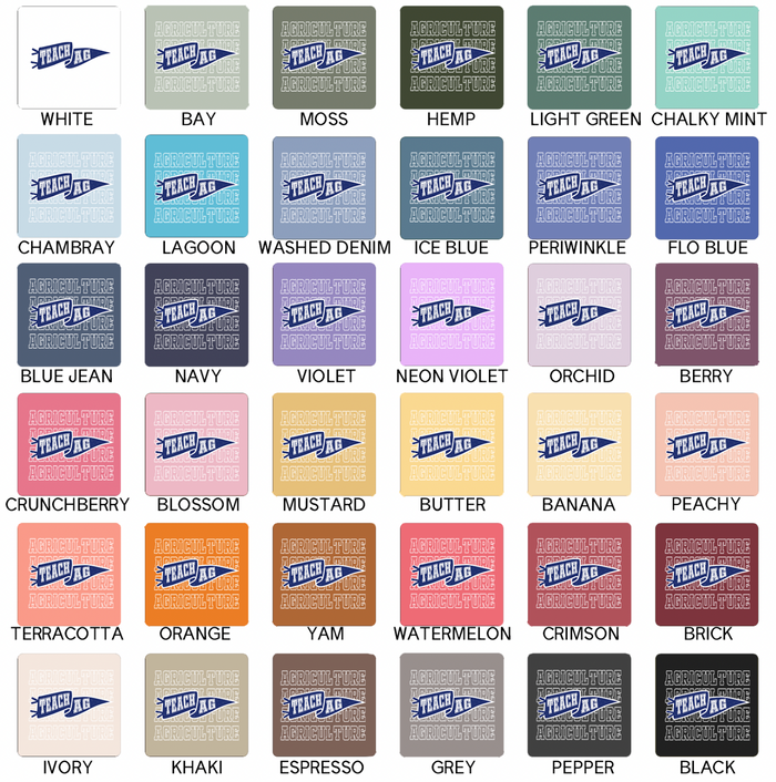 Pennant Teach AG– Comfort Colors T-Shirt