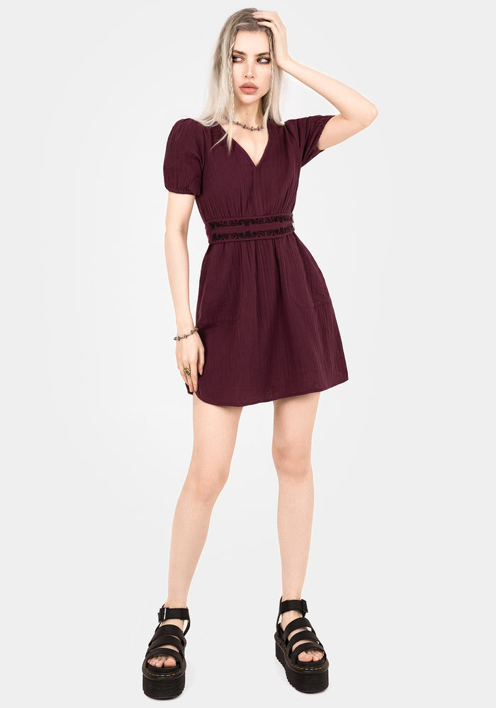 Poultice Embroidered Cotton Mini Dress