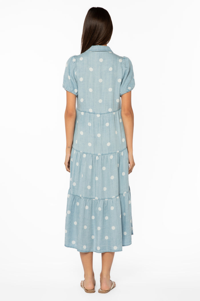Santiago Dotted Dress - Dresses - Velvet Heart Clothing