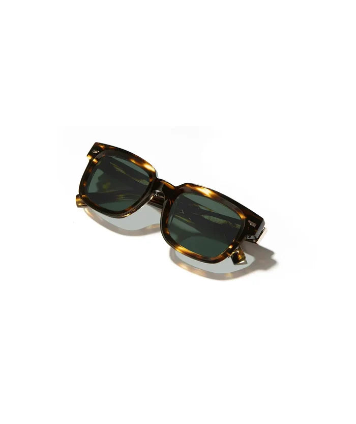 Buxton: Jaguar/Elm Burl/G15 Polarized