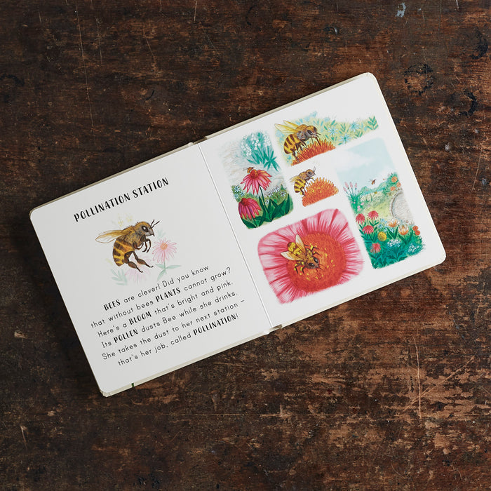 Slow Down Board Book