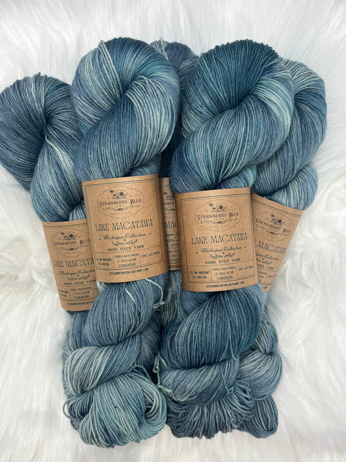 Strawberry Blue Farm Fingering Sock Yarn