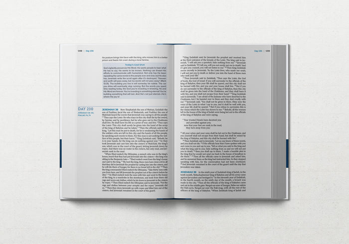 TBR 365-Day Chron Study Bible ESV - Large Print - Hardcover