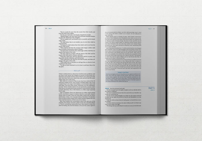 TBR 365-Day Chron Study Bible KJV - Black Vegan Leather