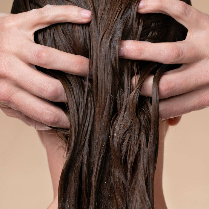 Volumizing Rosemary & Biotin Conditioner – alternate view 4