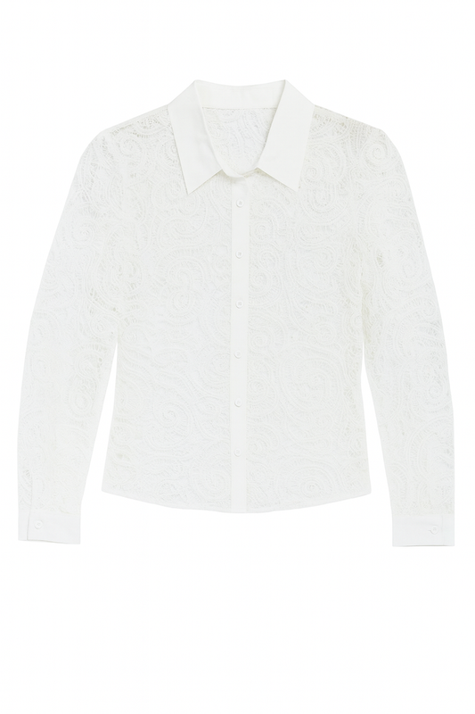 White lace button-front top with a collared neckline, sheer long sleeves, and intricate allover lace detail.